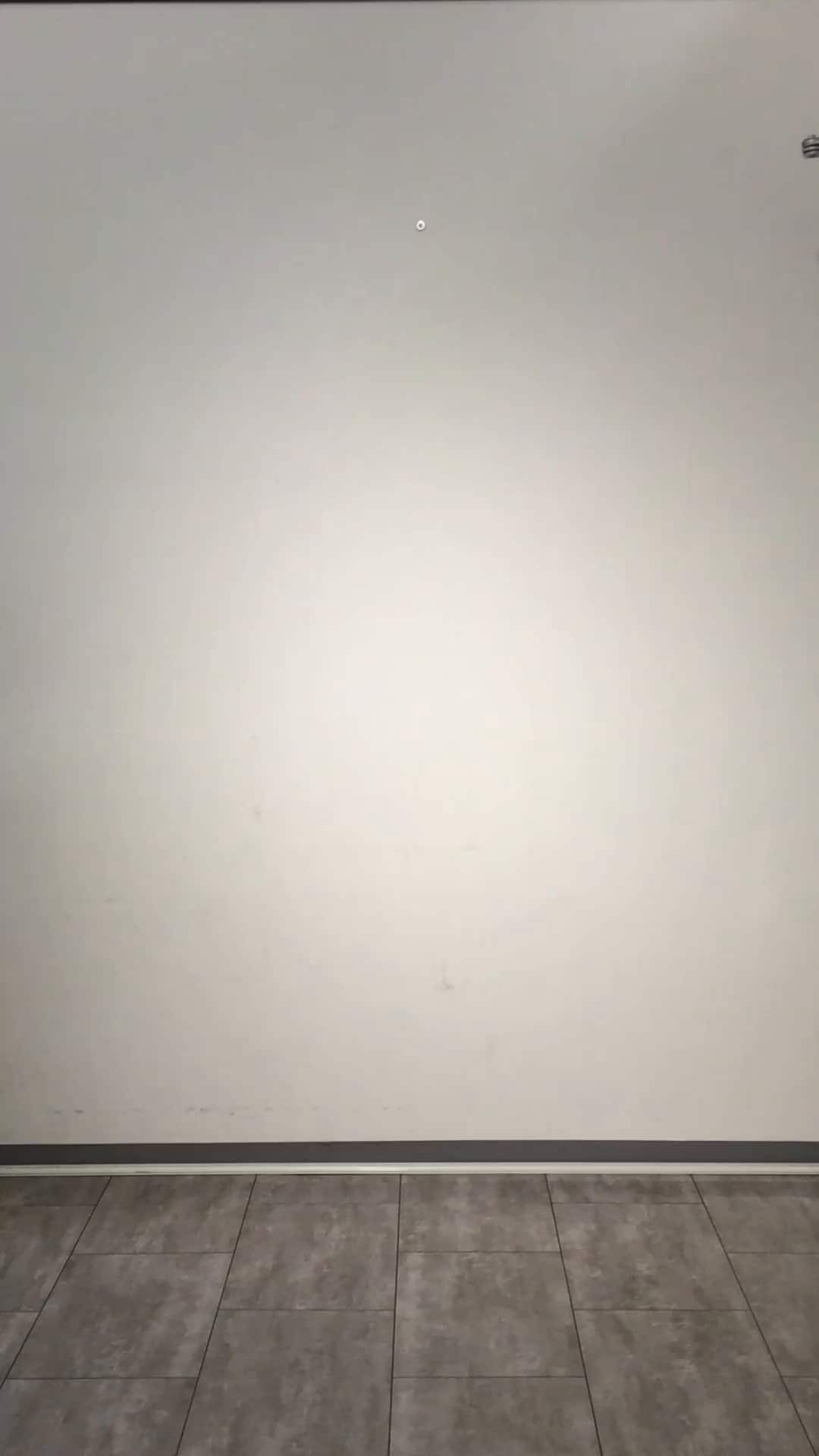 コーディネート