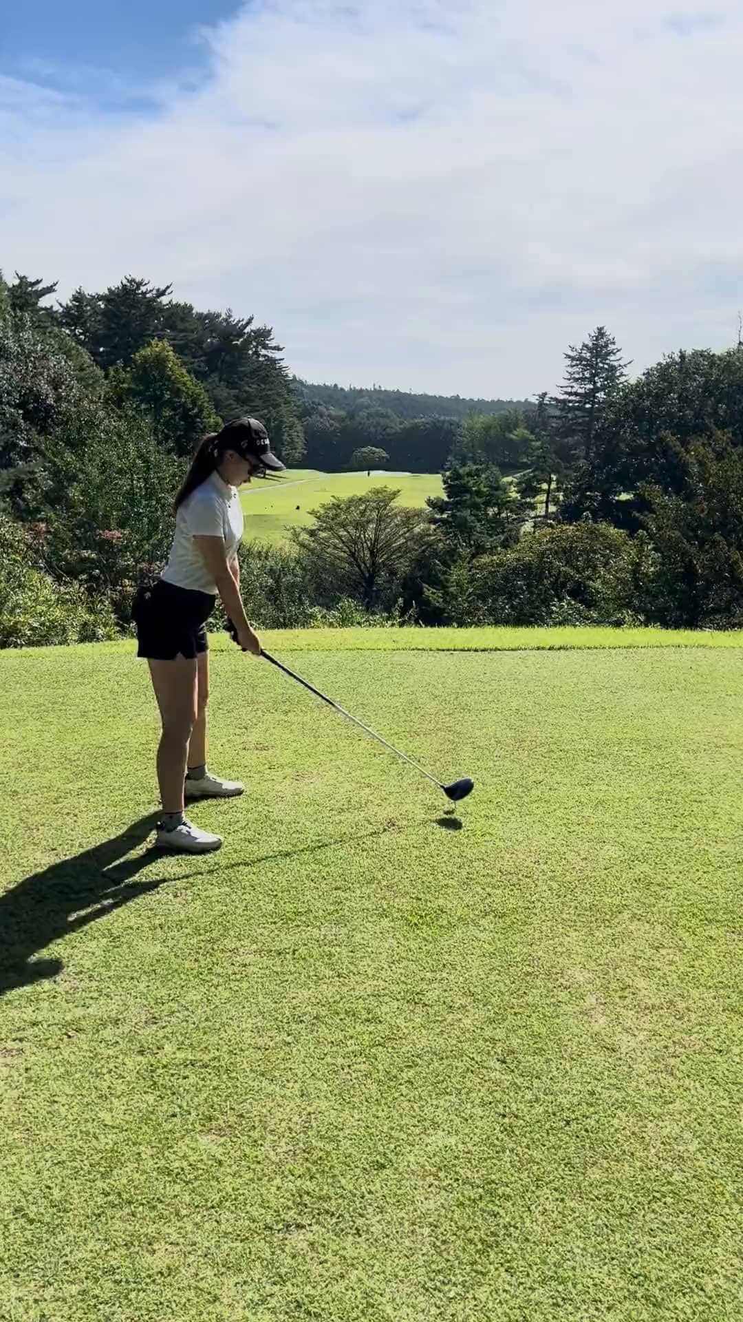 コーディネート