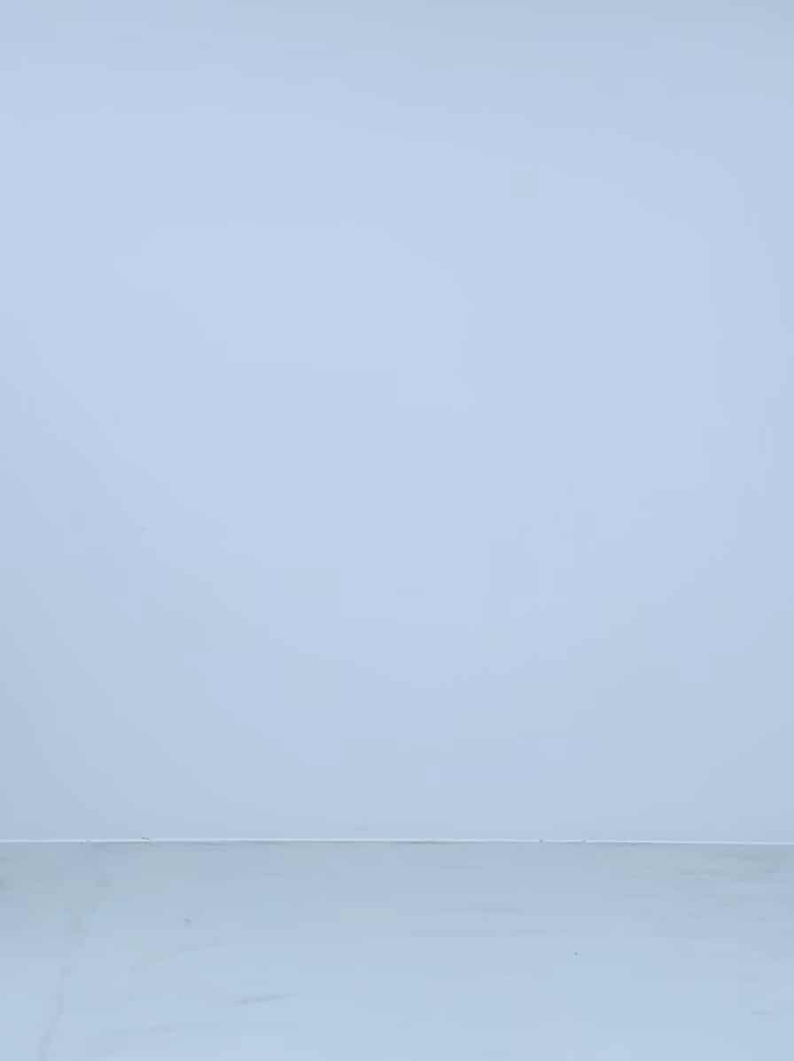 コーディネート