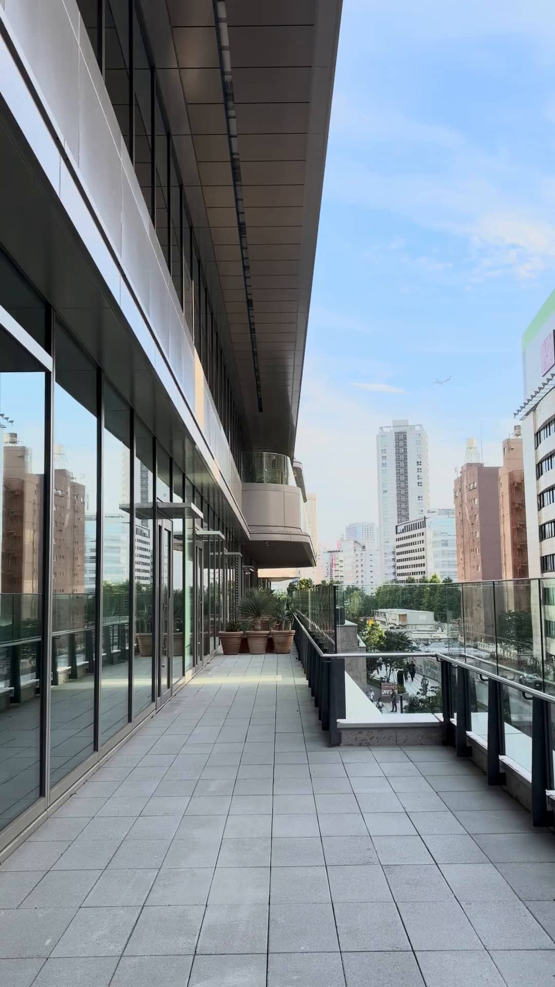 コーディネート