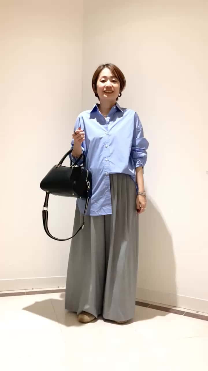 2024.11.10 マイスタンダードシャツ サムネイル画像