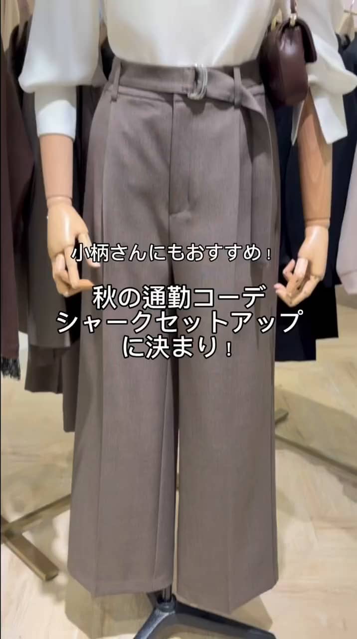 2026.09.26 秋のセットアップ サムネイル画像