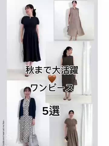 ノーリーズ　エビガエル　4点セット NOLLEY'S LIGHT（ノーリーズライト）｜NOLLEY'S MALL