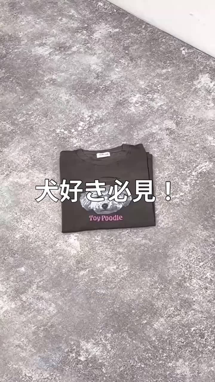 2025.06.06 みんな大好き！犬猫Tシャツ！ サムネイル画像