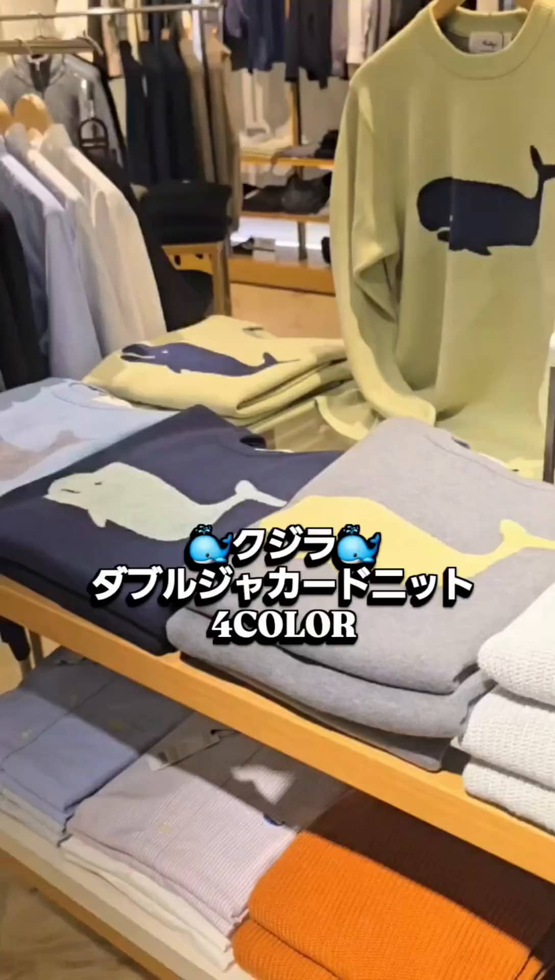 2025.11.20 クジラ🐳4COLOR🌈 サムネイル画像