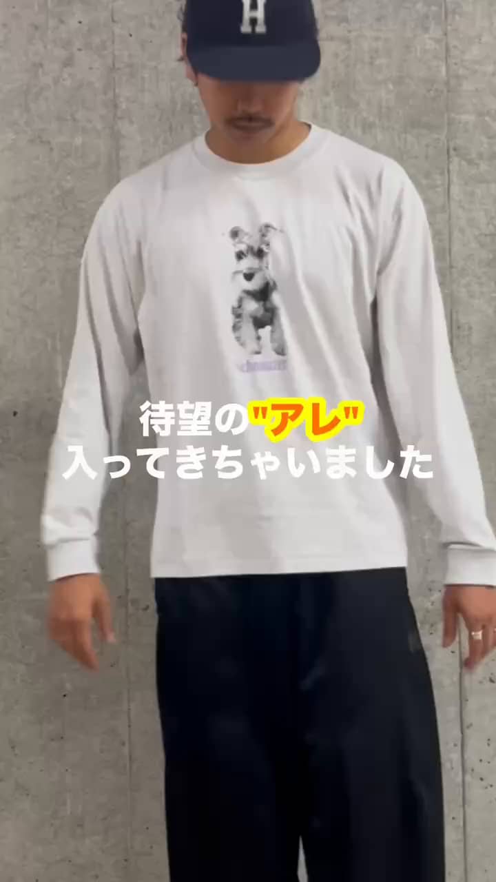 2026.09.23 待望の犬猫T サムネイル画像