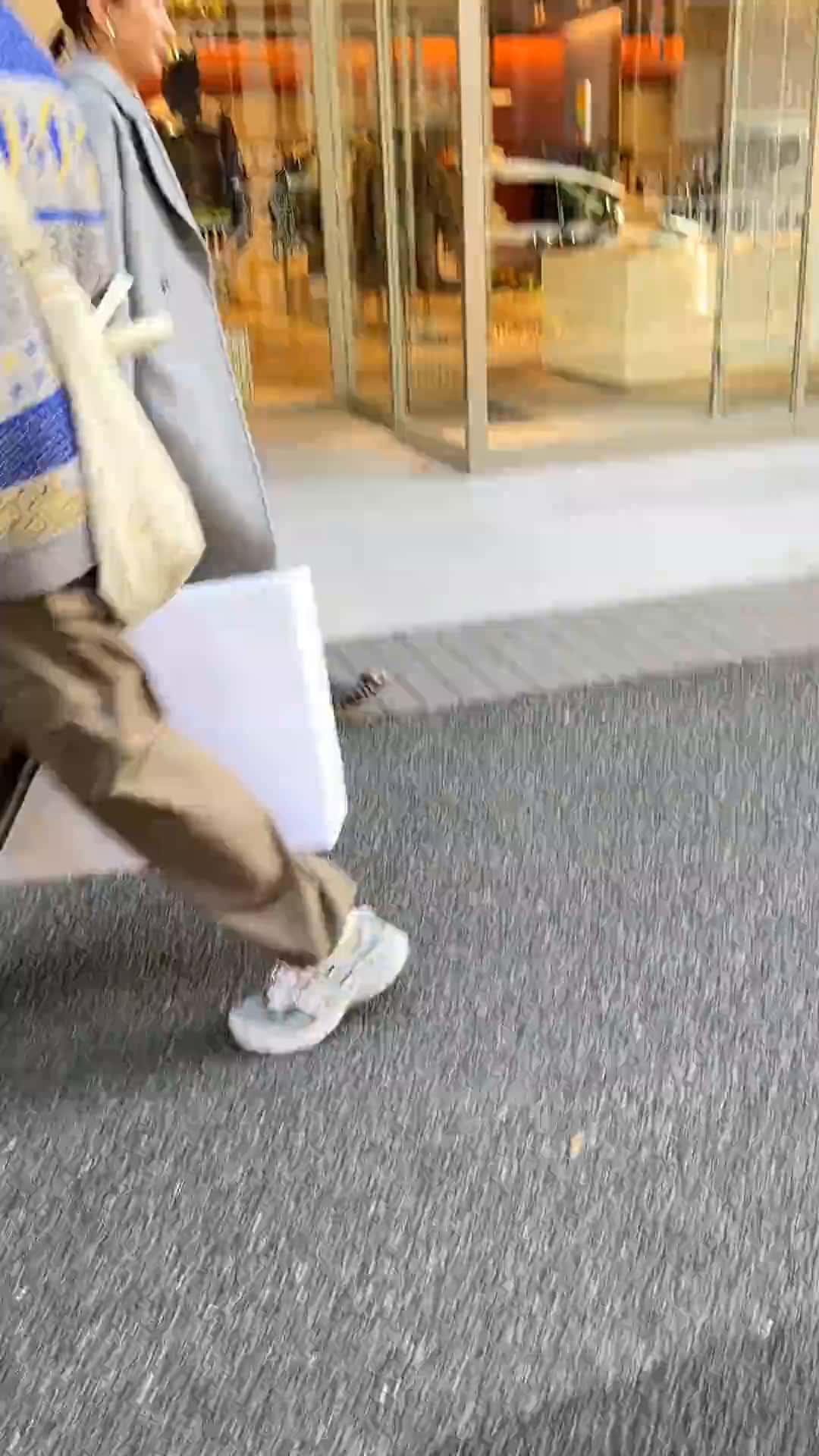 ノーリーズ 本部 matsuba ノーリーズ 本部