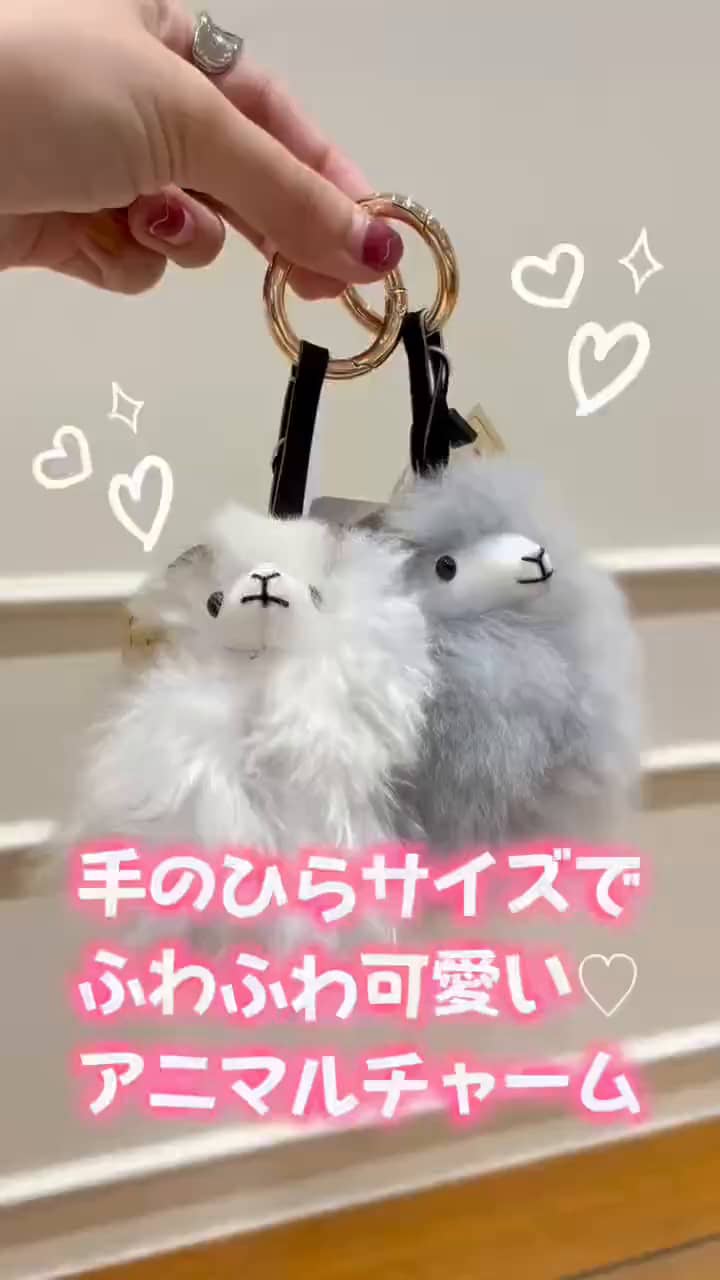 2026.09.21 \ふわふわ可愛い💕アニマルチャーム🧸🦙/ サムネイル画像