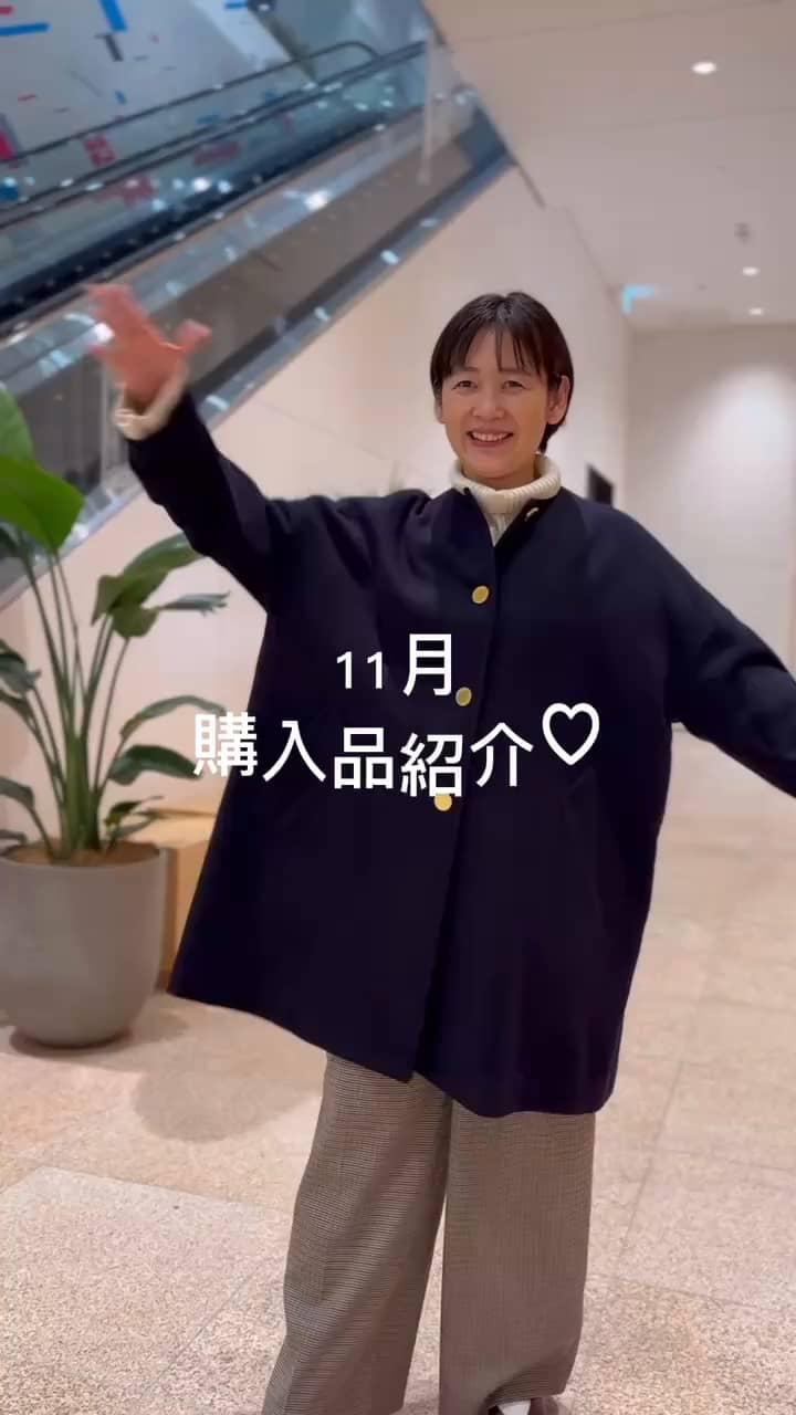 2024.11.08 11月購入品紹介 サムネイル画像