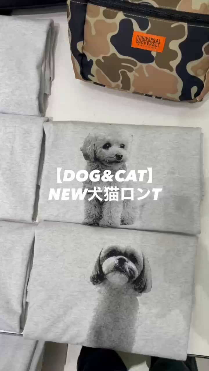 2026.09.09 【新デザイン】【DOG&CAT】NEW犬猫ロンT サムネイル画像