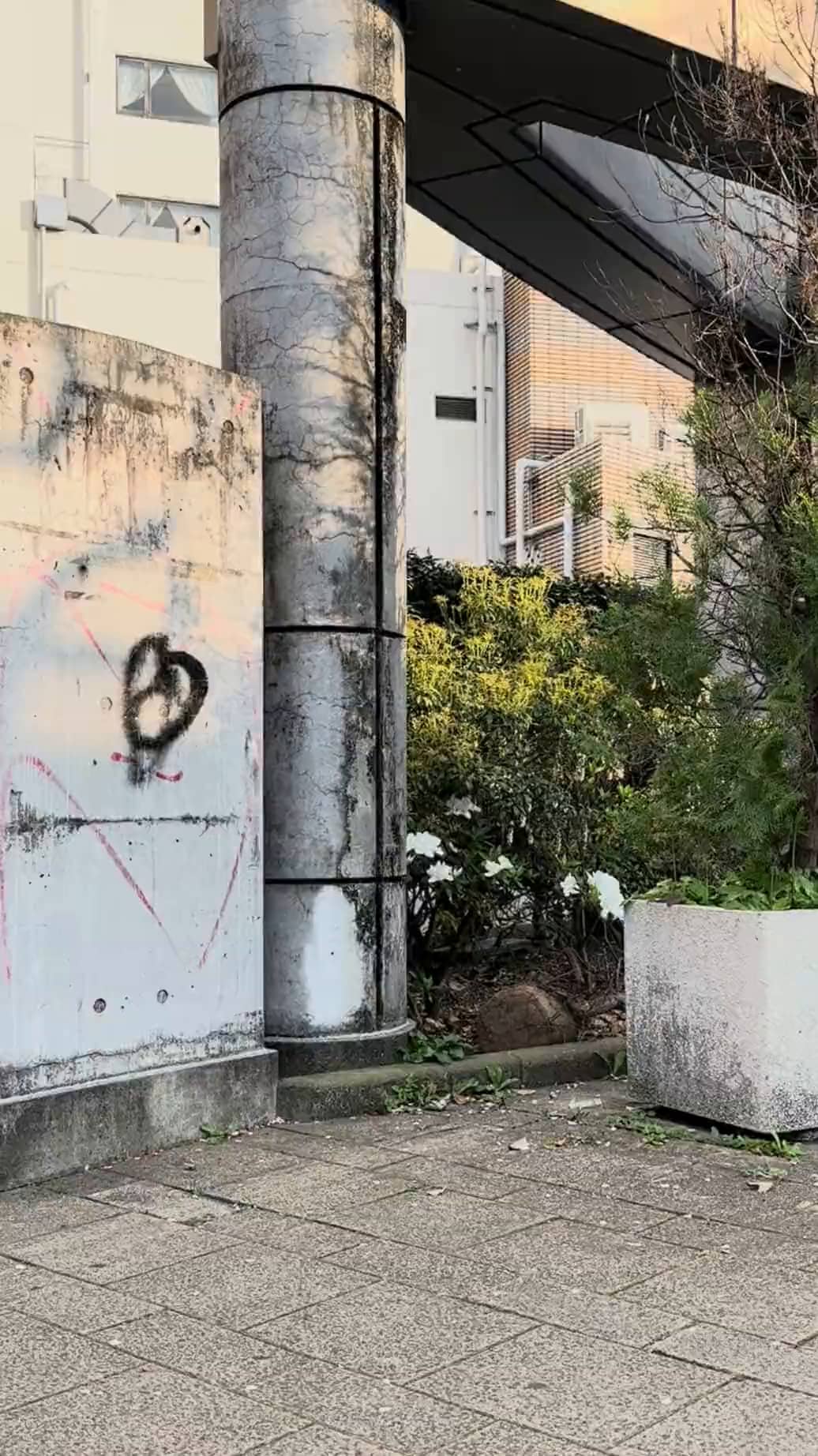 Mon
