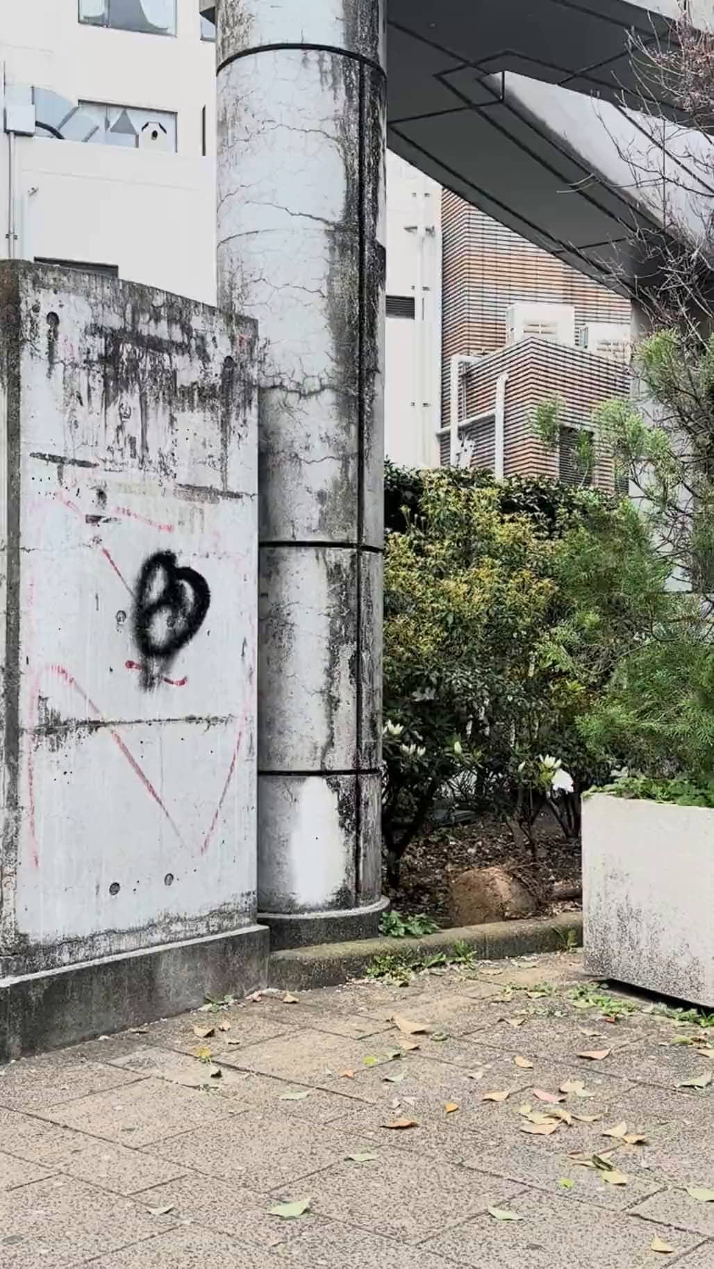Mon