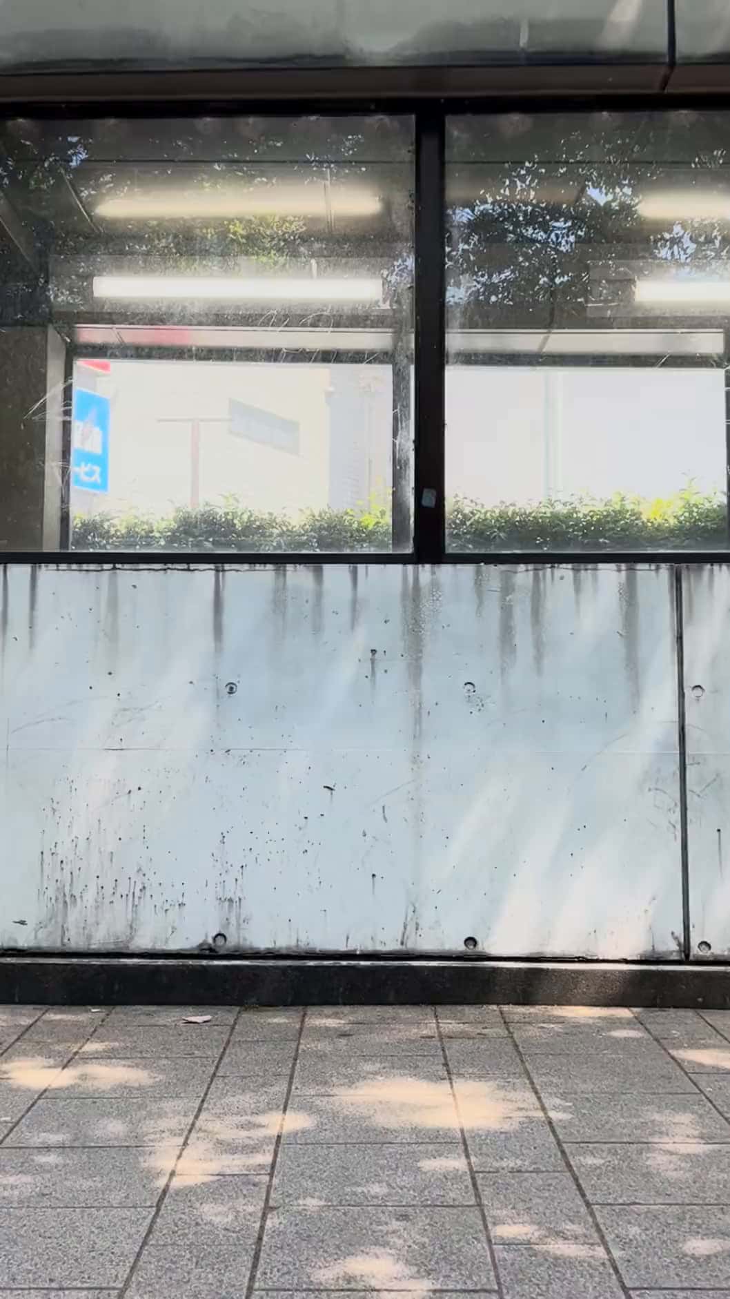 Mon