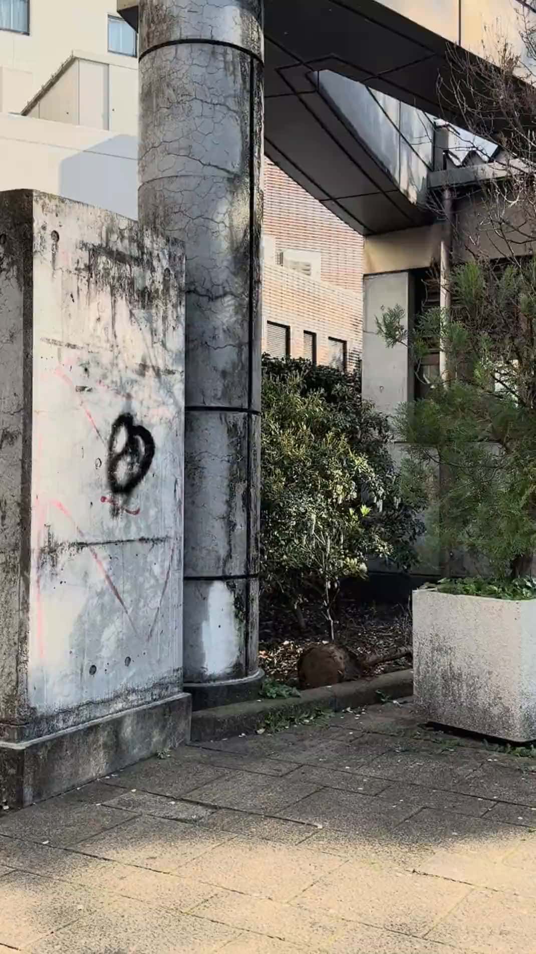 Miyabe