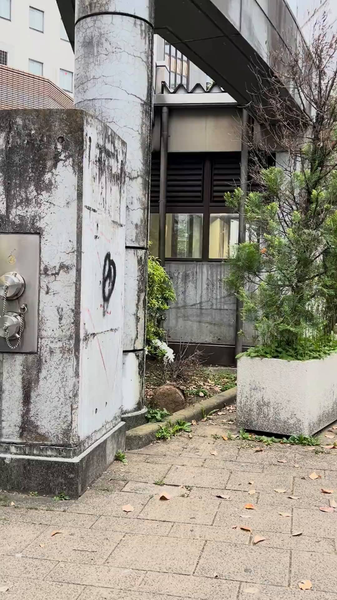 Mon