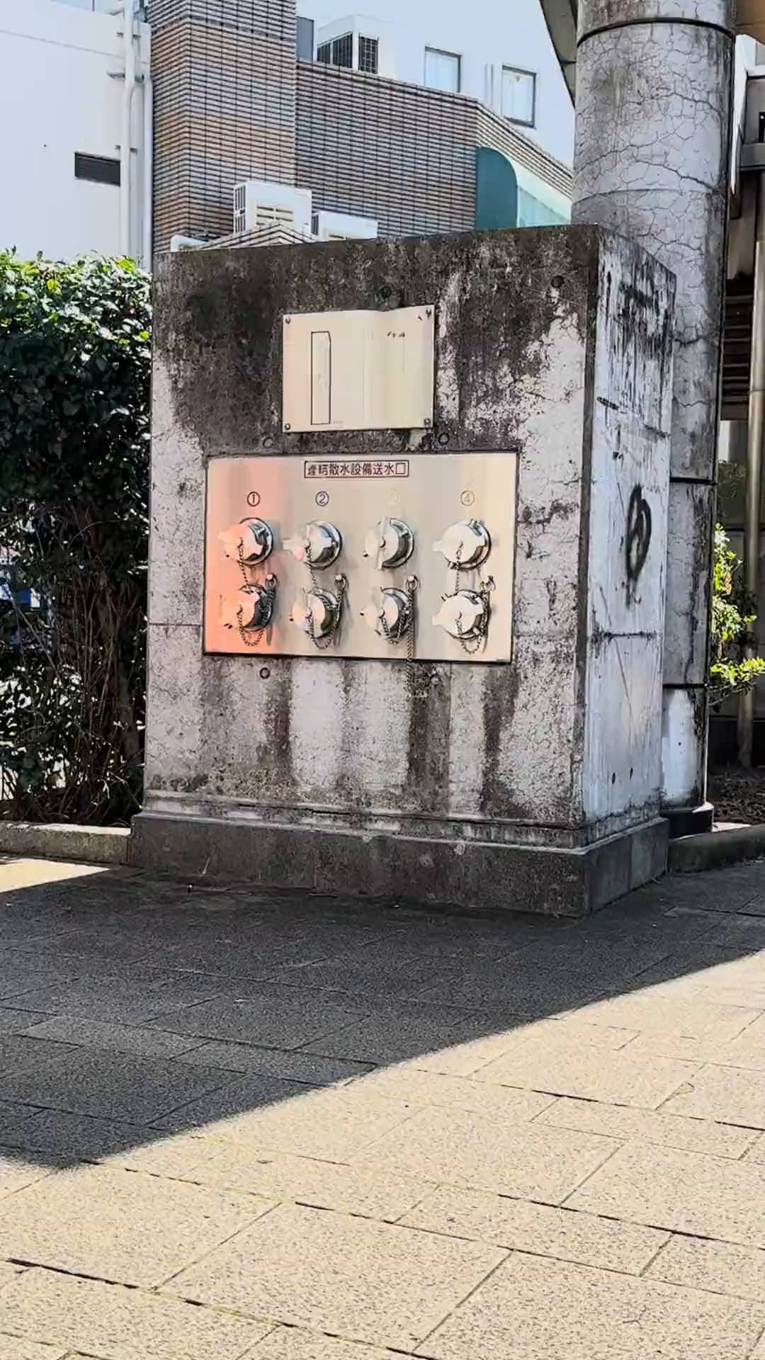 Mon