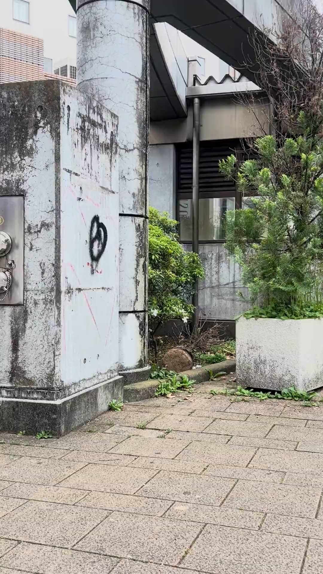 Mon