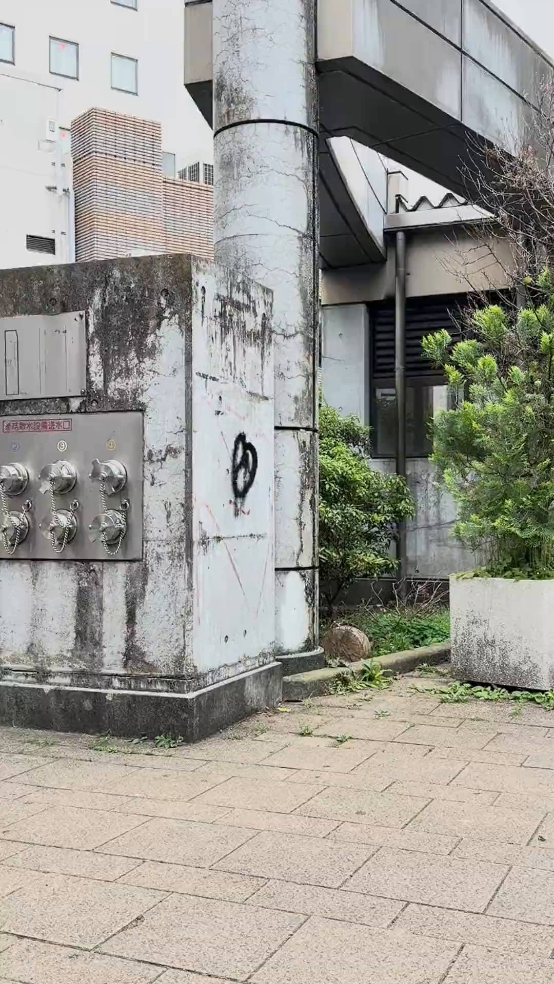Miyabe