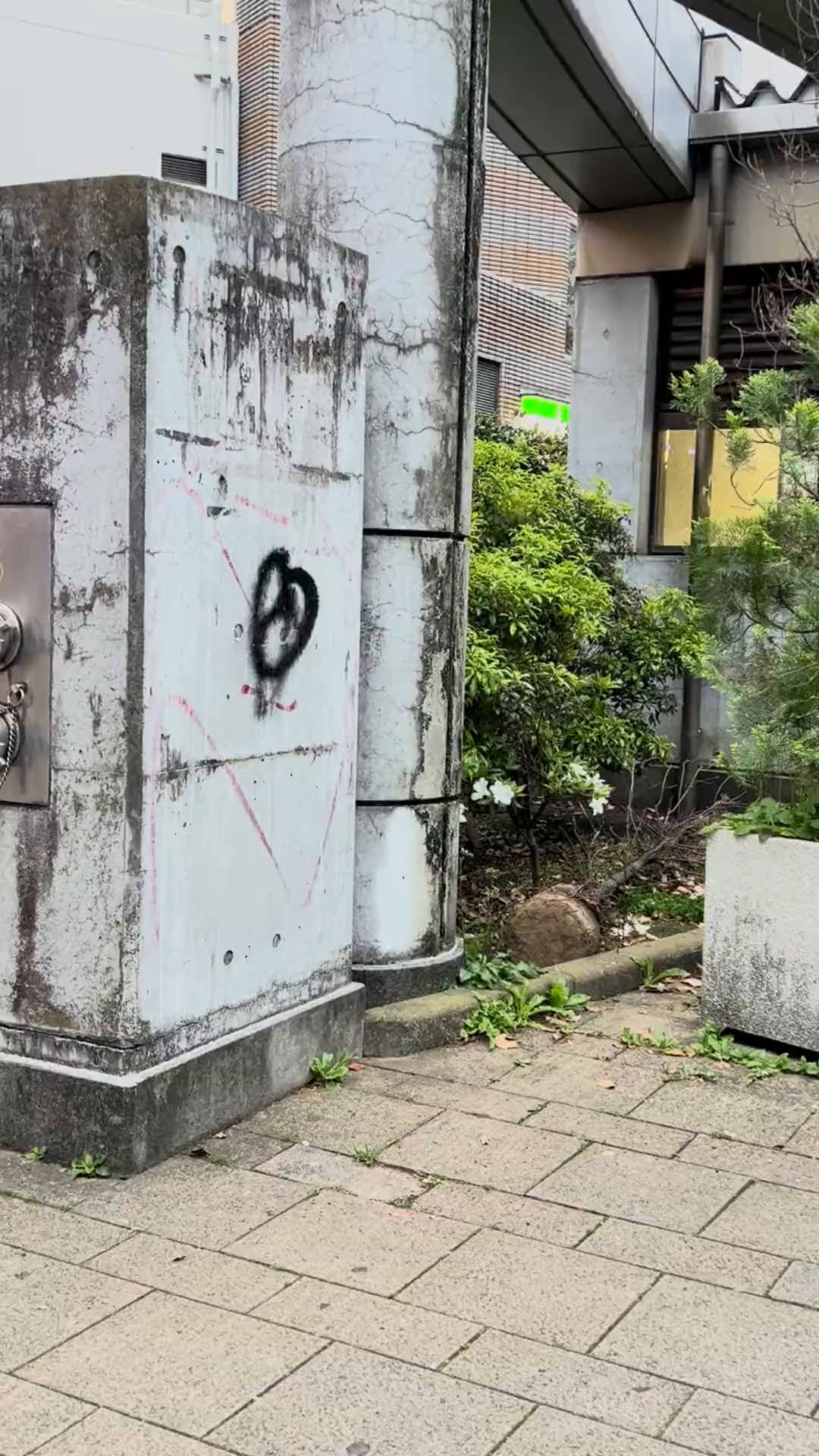 Mon