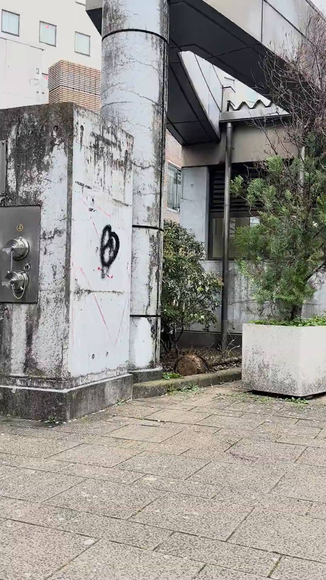 Mon