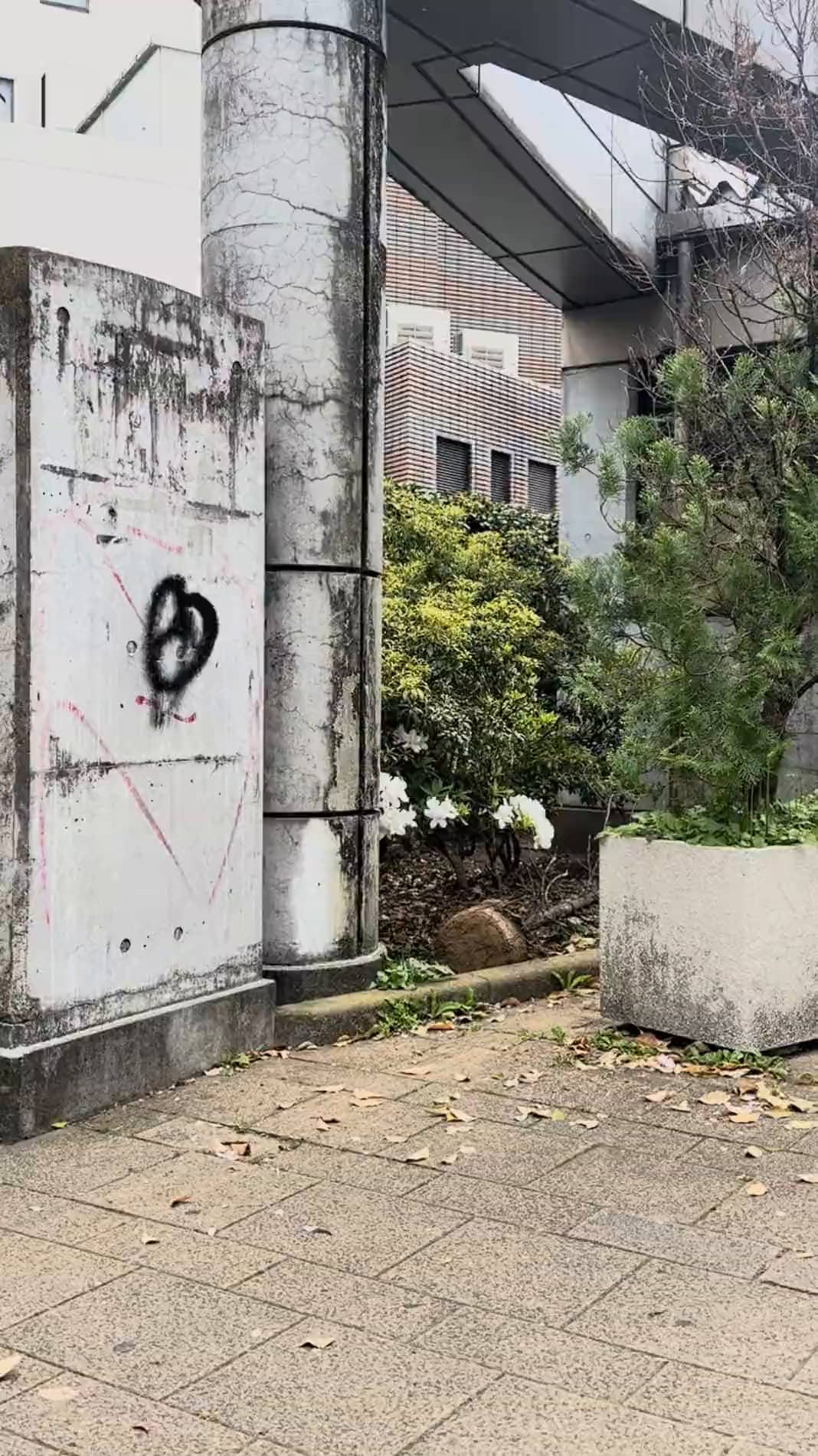 Miyabe