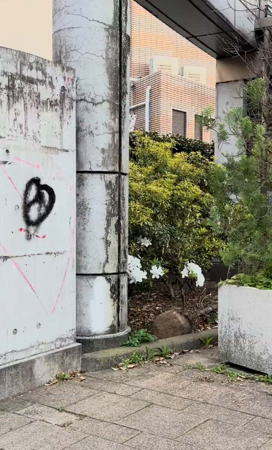 Miyabe
