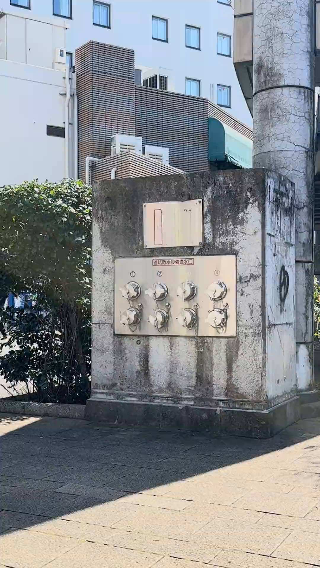 Miyabe