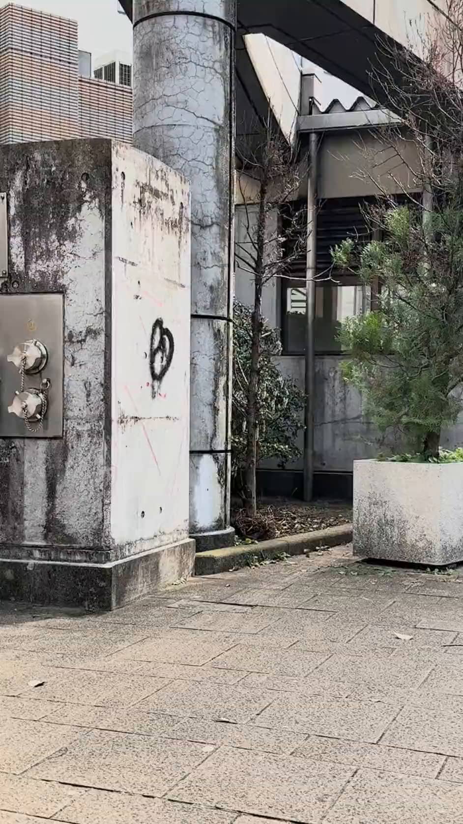 Mon