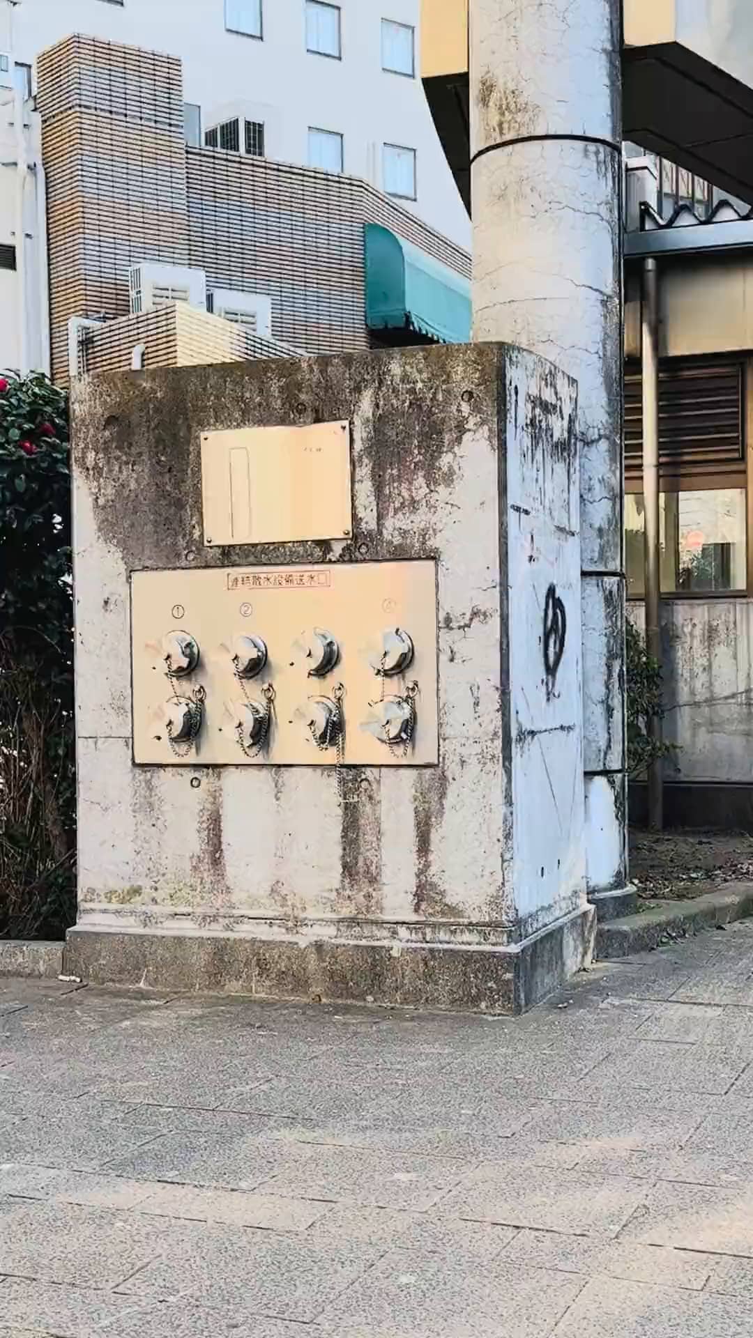 Mon