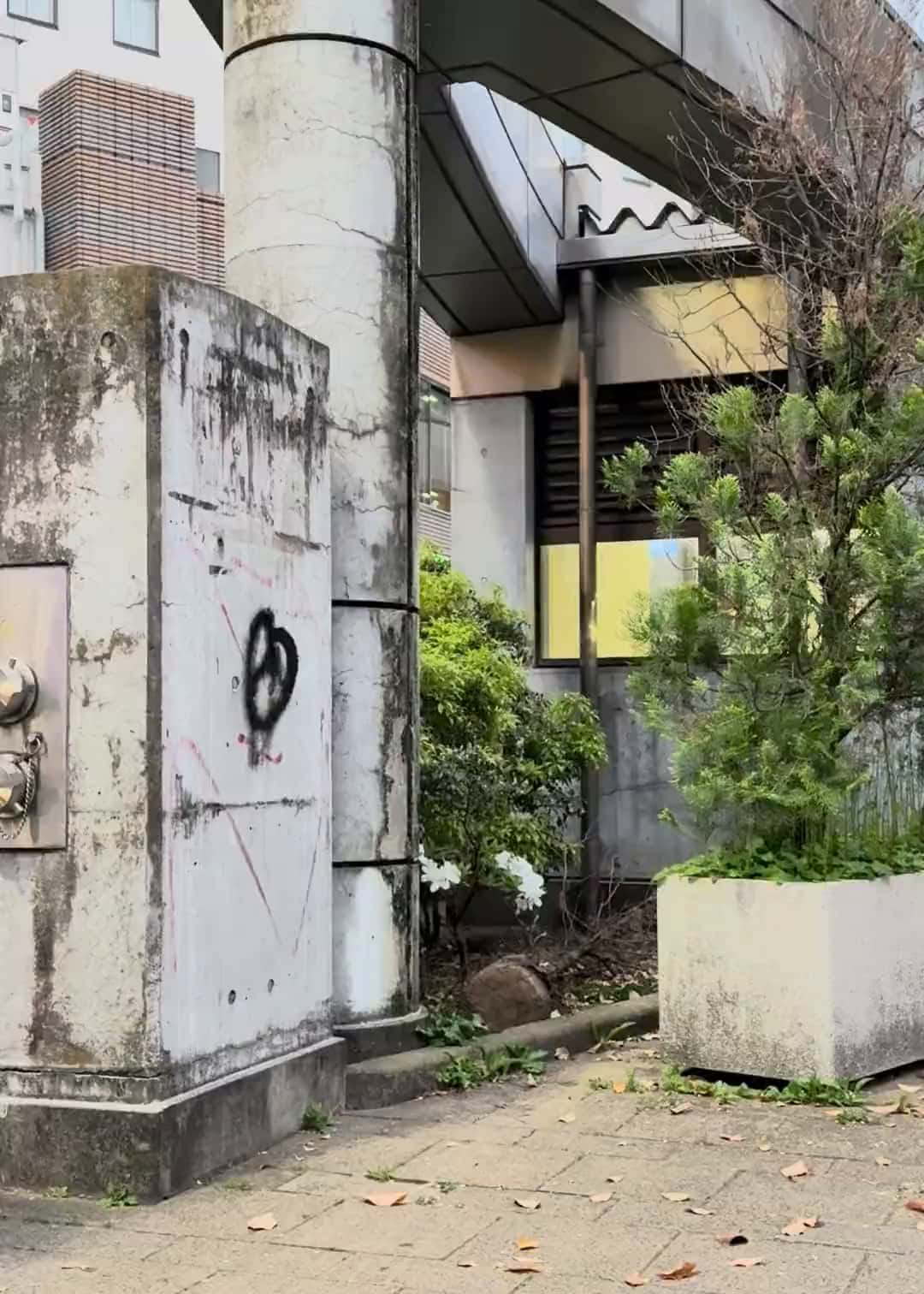 Miyabe