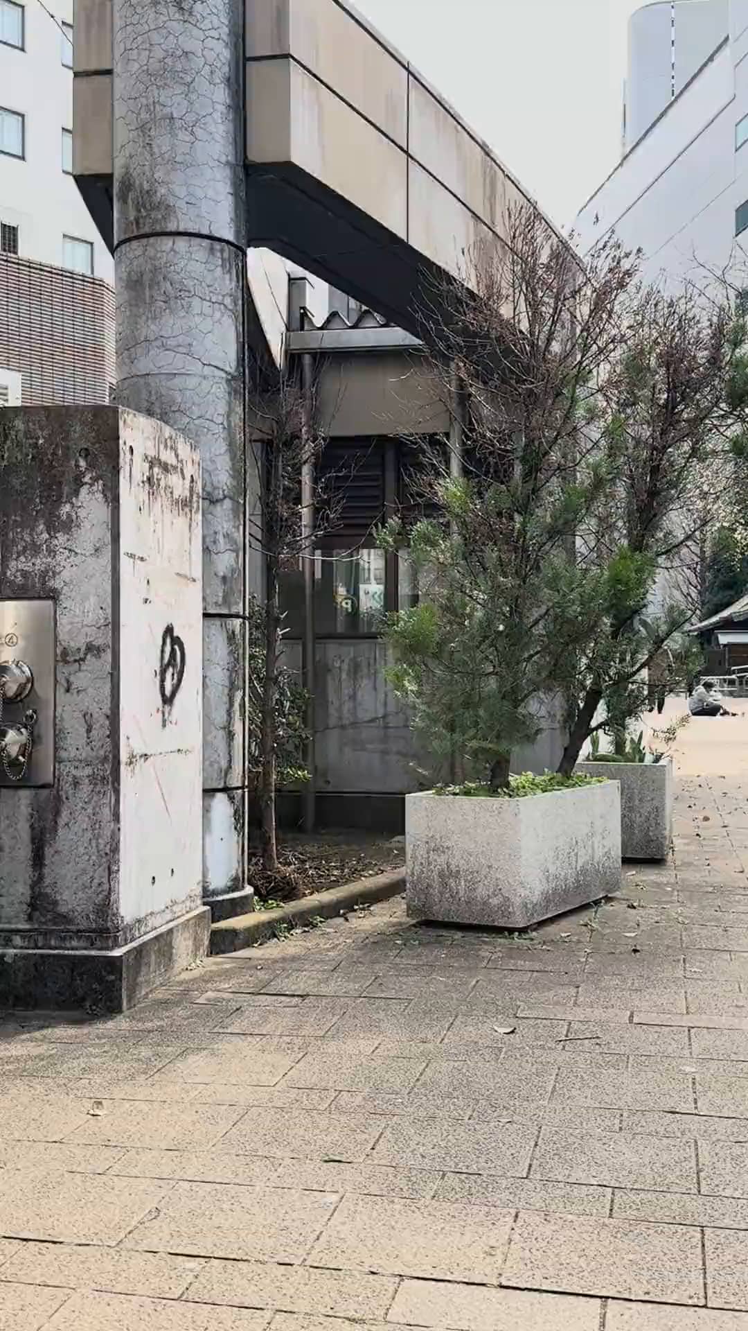Miyabe