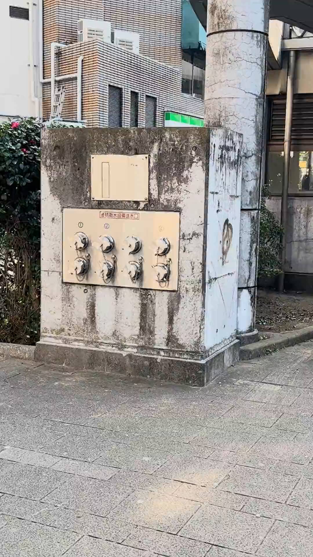Miyabe