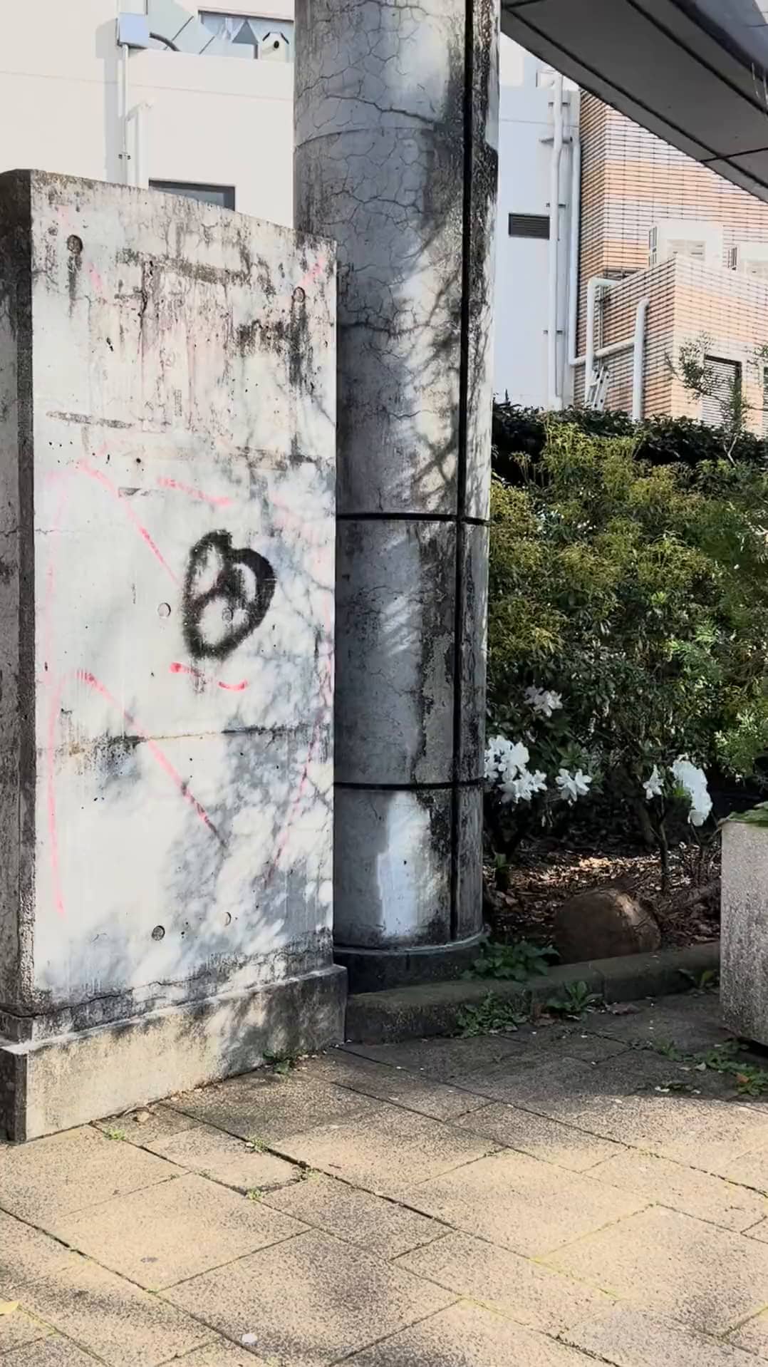 Mon
