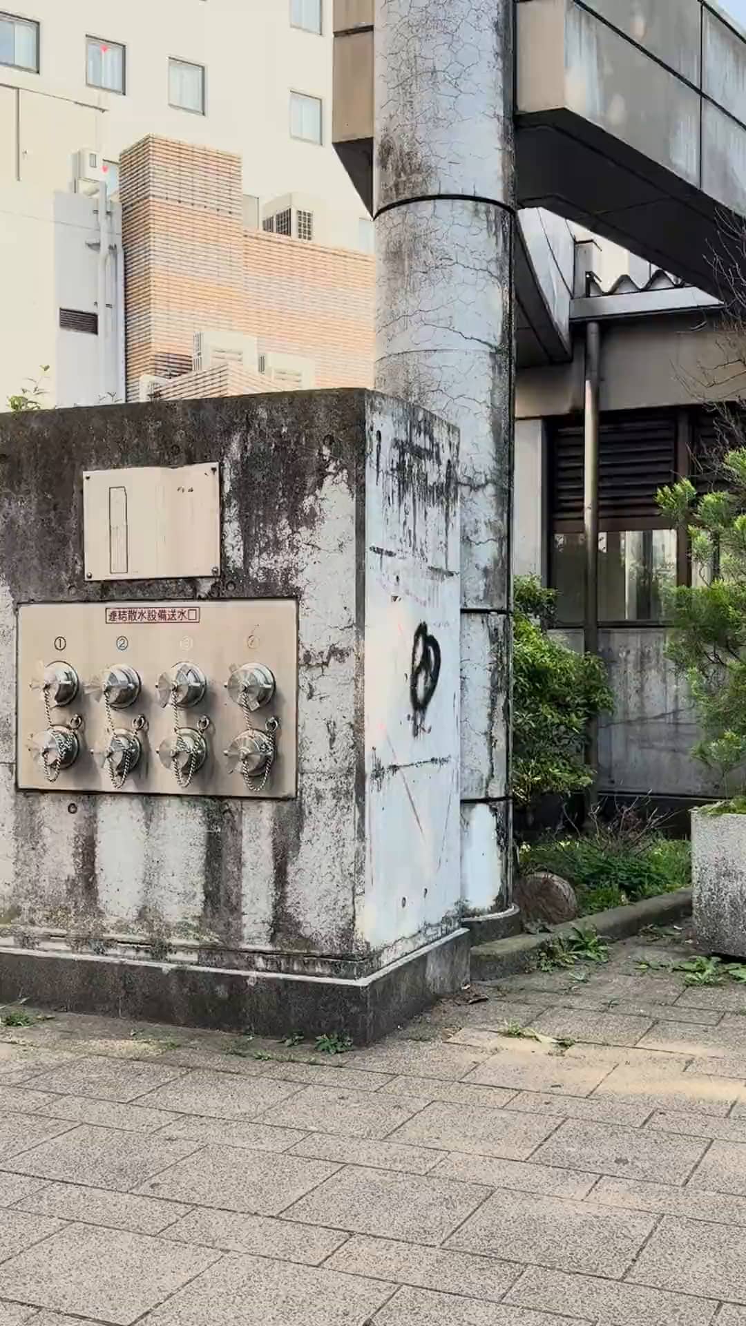 Miyabe