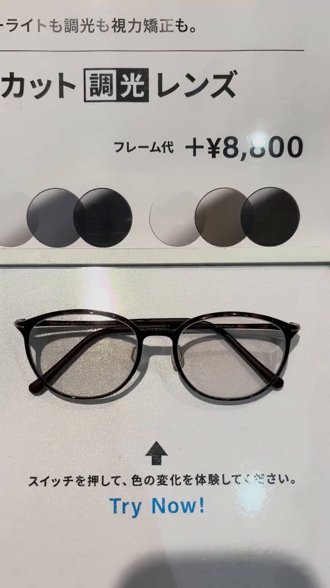 フレームデザイン確認用 Zoff Staff Collection｜投稿｜メガネのZoffオンラインストア（めがね